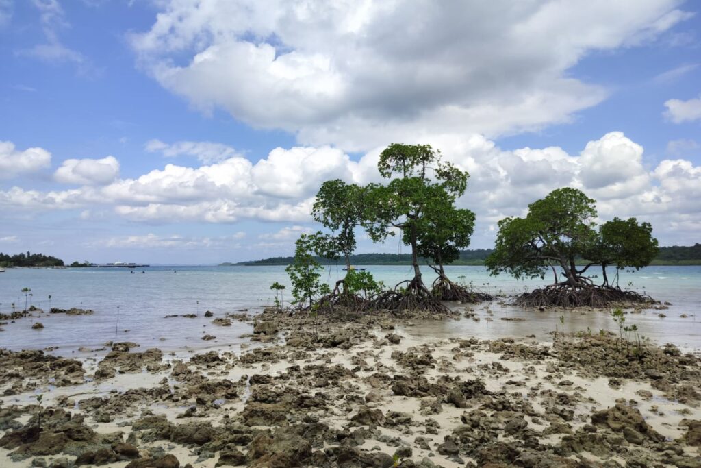 Havelock Island